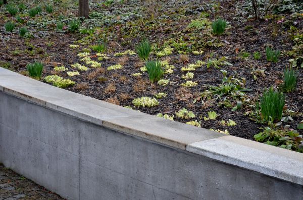 Concrete Wall Construction in Tulsa